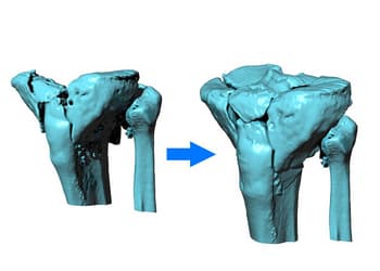 Ejemplo de un Smartform